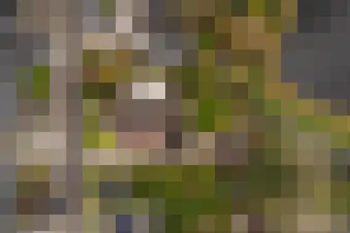 Tulipastrjitte 42 Stiens thumbnail 54