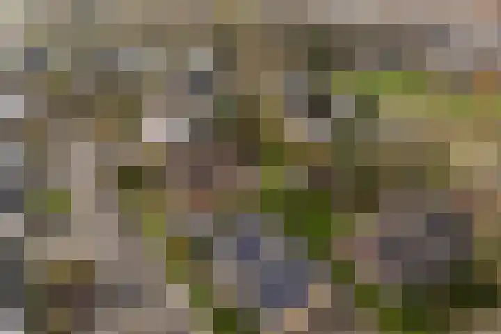 Tulipastrjitte 42 Stiens thumbnail 55