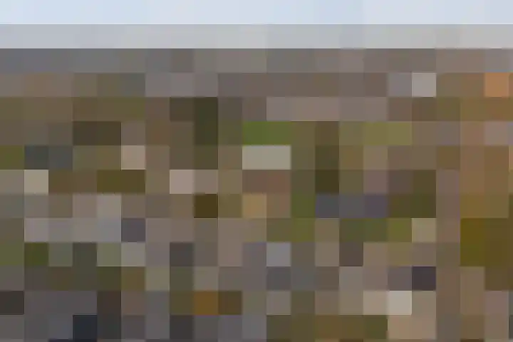 Tulipastrjitte 42 Stiens thumbnail 56