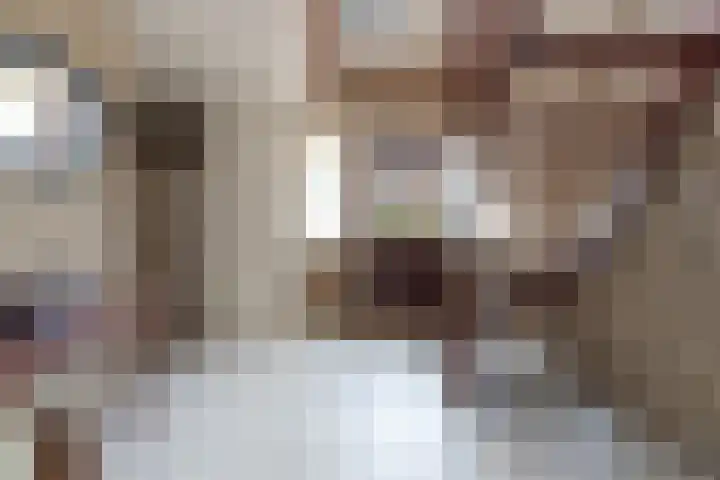Tulipastrjitte 42 Stiens thumbnail 6
