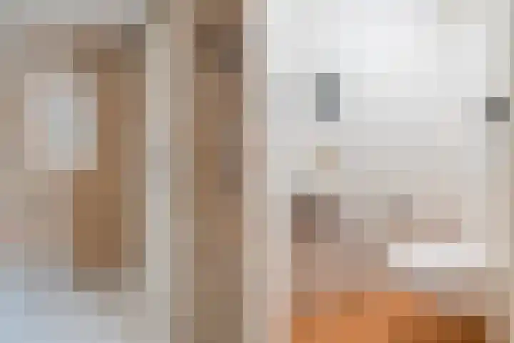 Tulipastrjitte 42 Stiens thumbnail 7