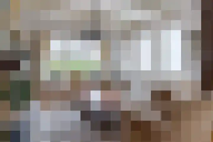 Tulipastrjitte 42 Stiens thumbnail 8
