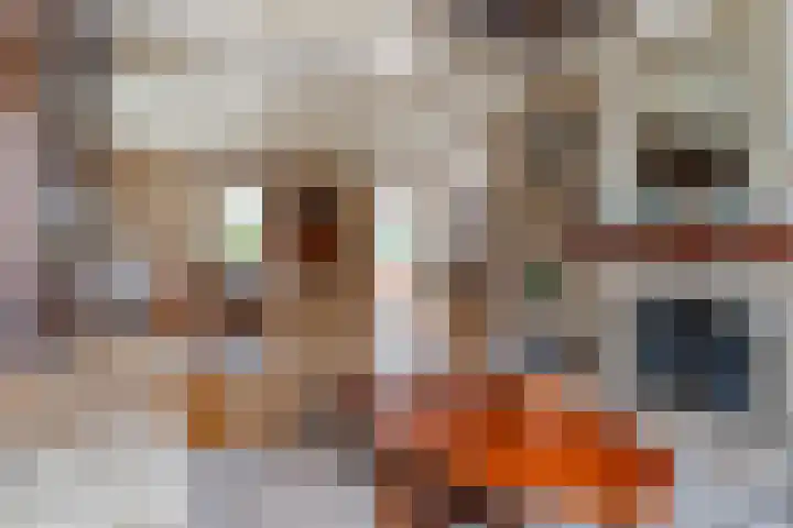 Tulipastrjitte 42 Stiens thumbnail 9