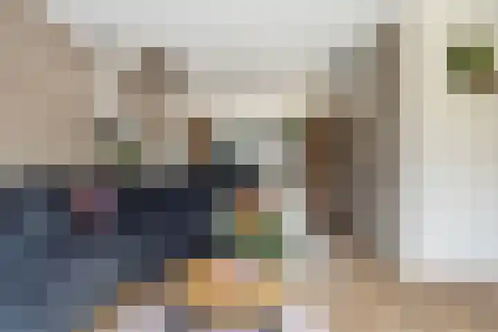 Tulipastrjitte 45 Stiens thumbnail 12