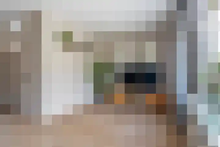 Tulipastrjitte 45 Stiens thumbnail 13