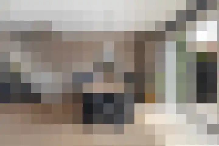 Tulipastrjitte 45 Stiens thumbnail 15
