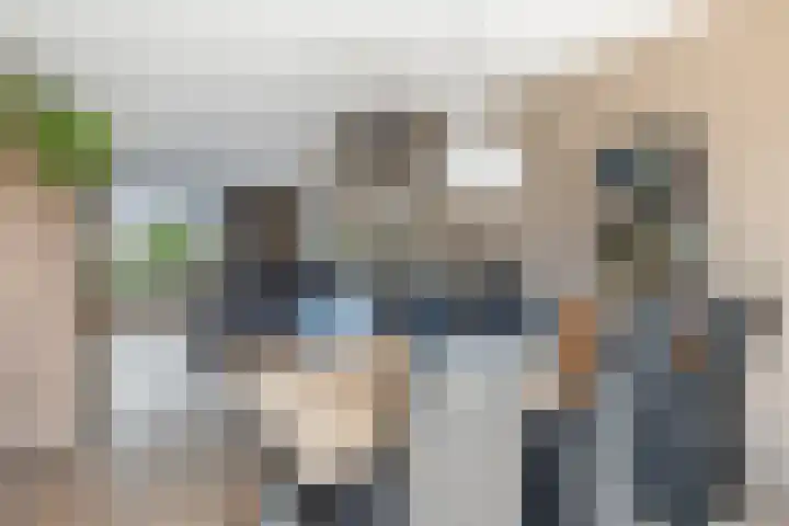 Tulipastrjitte 45 Stiens thumbnail 16