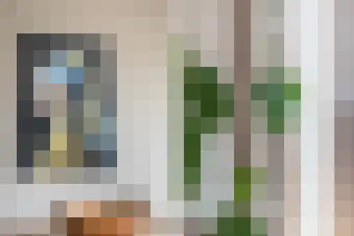 Tulipastrjitte 45 Stiens thumbnail 17