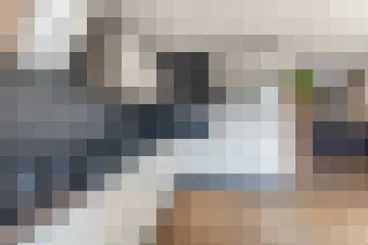 Tulipastrjitte 45 Stiens thumbnail 18
