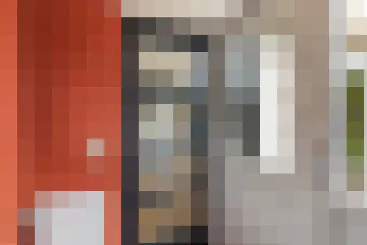 Tulipastrjitte 45 Stiens thumbnail 21