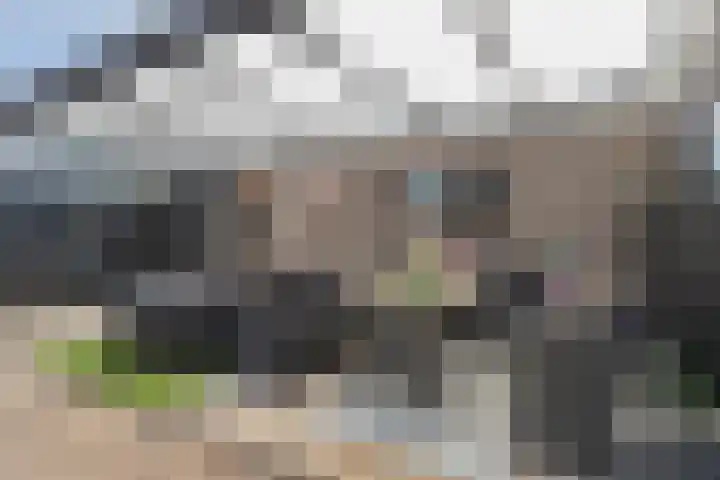 Tulipastrjitte 45 Stiens thumbnail 22