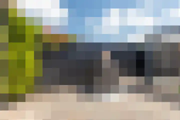 Tulipastrjitte 45 Stiens thumbnail 25
