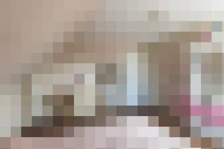 Tulipastrjitte 45 Stiens thumbnail 28