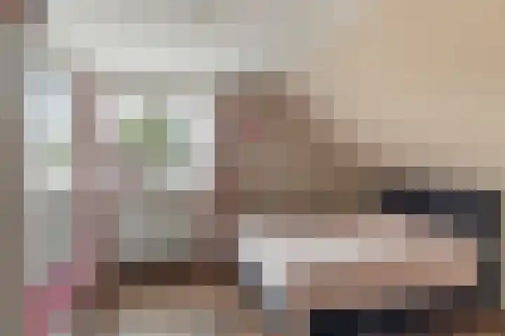 Tulipastrjitte 45 Stiens thumbnail 29