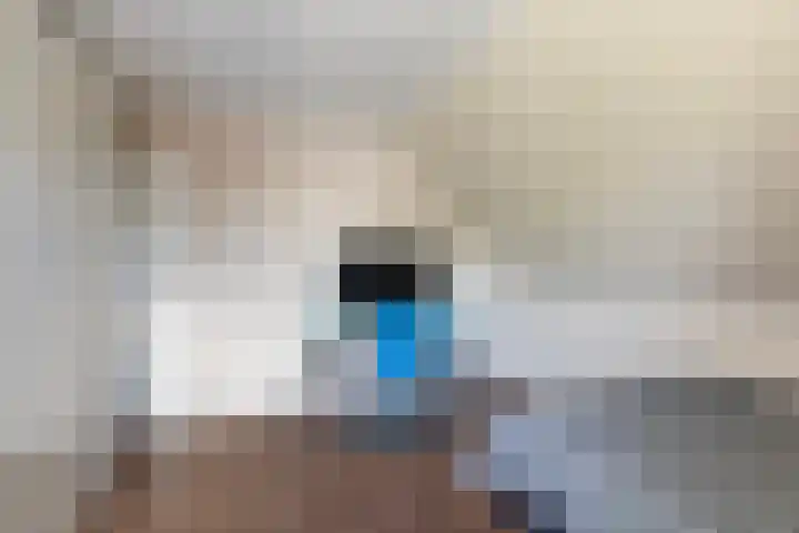 Tulipastrjitte 45 Stiens thumbnail 31
