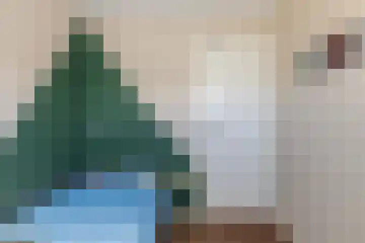 Tulipastrjitte 45 Stiens thumbnail 33