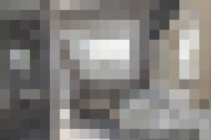 Tulipastrjitte 45 Stiens thumbnail 34