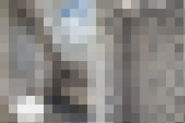 Tulipastrjitte 45 Stiens thumbnail 35