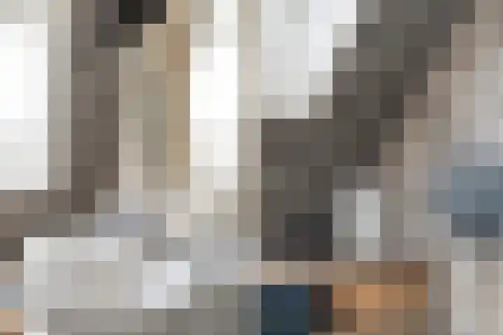 Tulipastrjitte 45 Stiens thumbnail 36