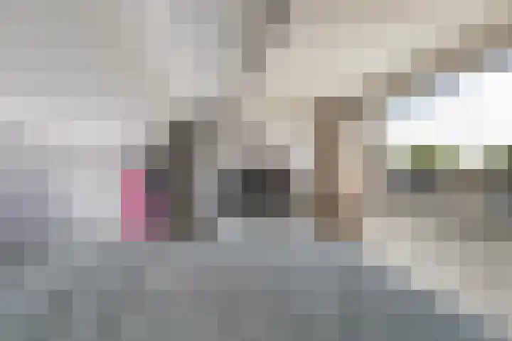 Tulipastrjitte 45 Stiens thumbnail 37
