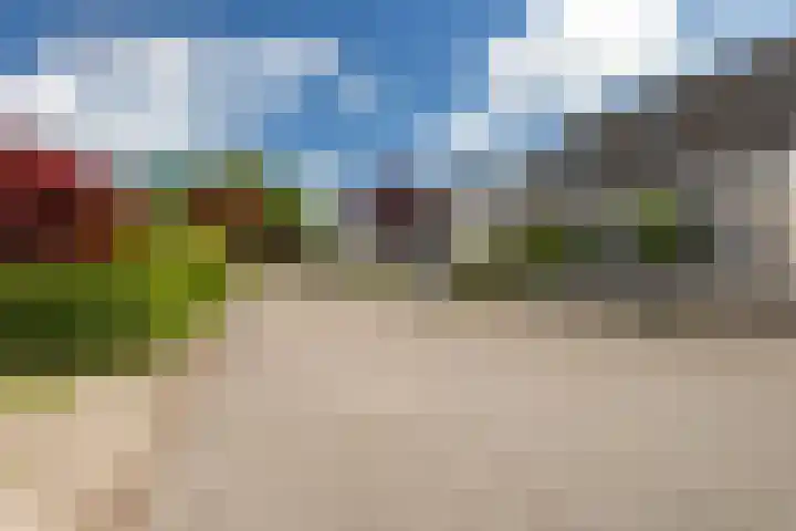 Tulipastrjitte 45 Stiens thumbnail 38