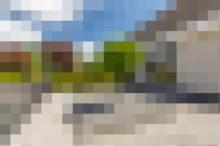 Tulipastrjitte 45 Stiens thumbnail 39