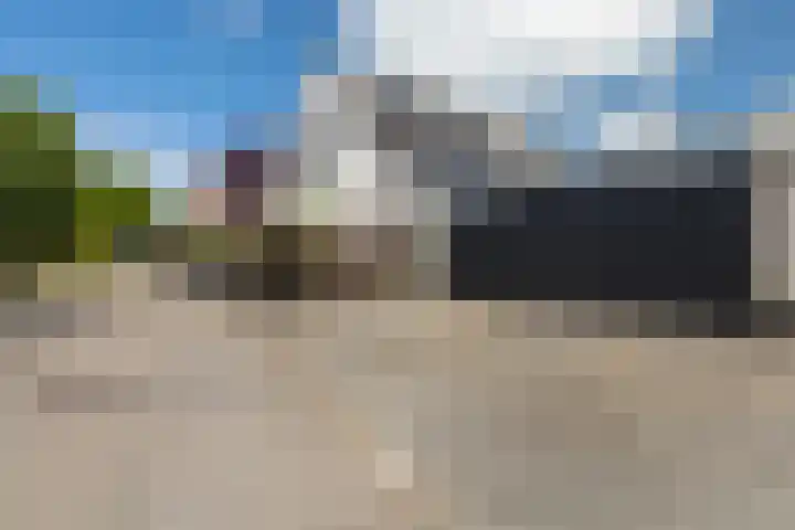Tulipastrjitte 45 Stiens thumbnail 40