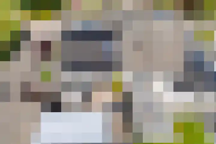 Tulipastrjitte 45 Stiens thumbnail 41