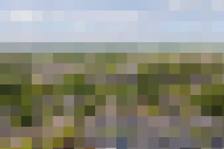 Tulipastrjitte 45 Stiens thumbnail 43