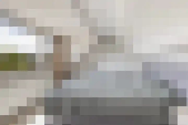 Tulipastrjitte 45 Stiens thumbnail 5