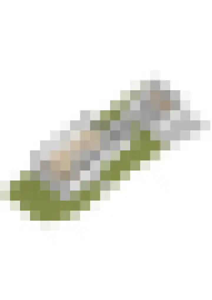 Tulipastrjitte 45 Stiens thumbnail 53