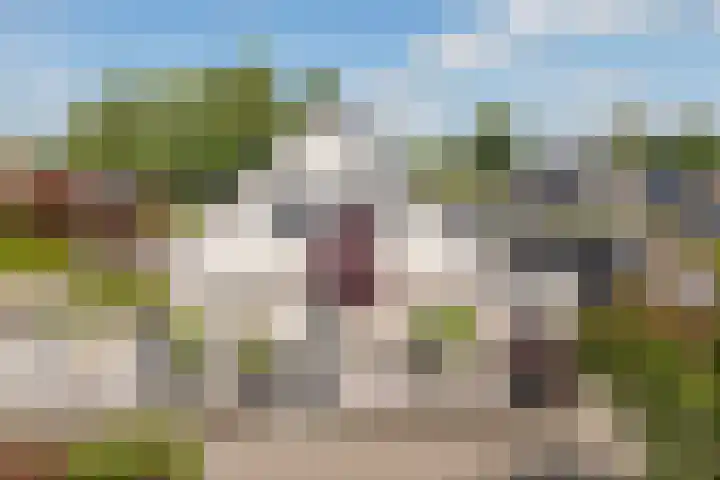Tulipastrjitte 45 Stiens thumbnail 6