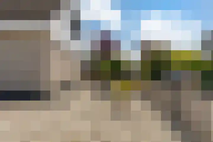 Tulipastrjitte 45 Stiens thumbnail 7