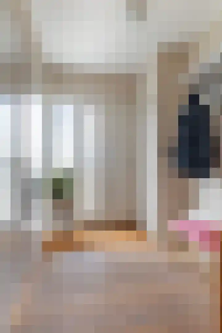 Tulipastrjitte 45 Stiens thumbnail 9
