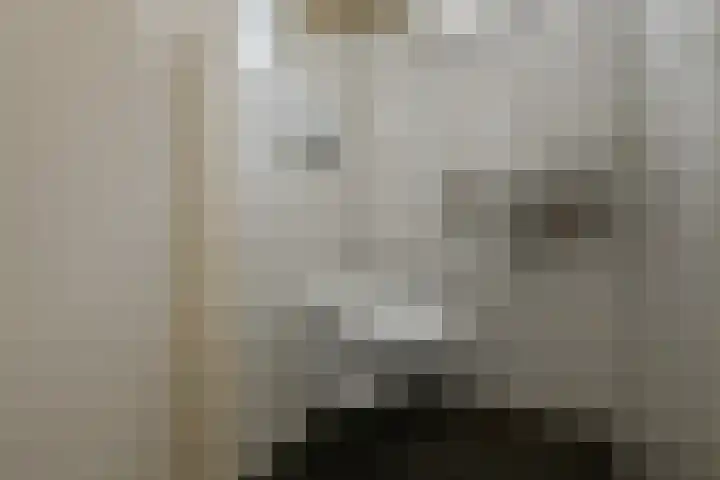 Tullekenshof 5 Heteren thumbnail 11