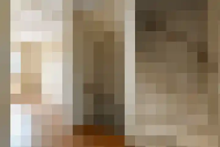 Tullekenshof 5 Heteren thumbnail 21