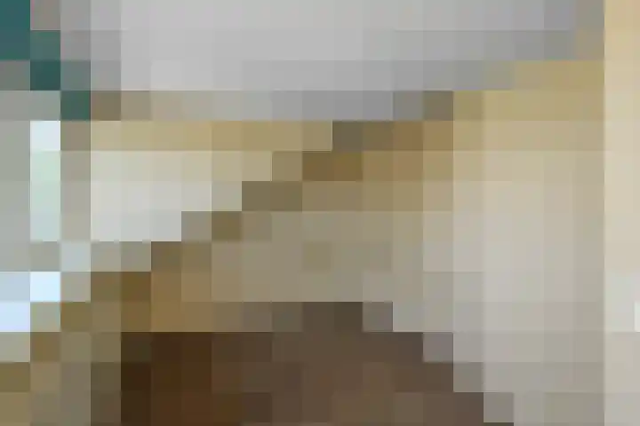 Tullekenshof 5 Heteren thumbnail 24