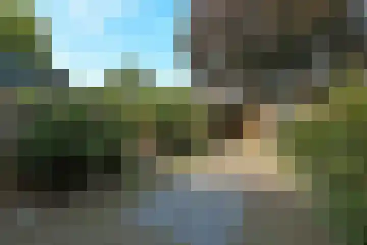 Tullekenshof 5 Heteren thumbnail 27