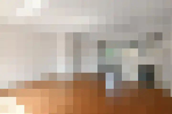 Tullekenshof 5 Heteren thumbnail 4