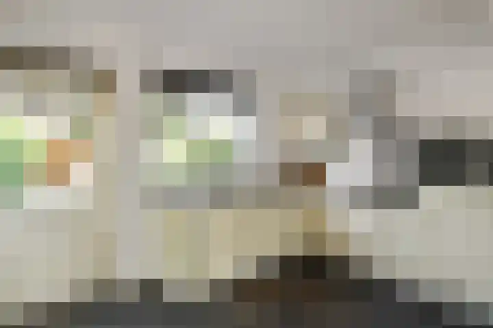Tullekenshof 5 Heteren thumbnail 8