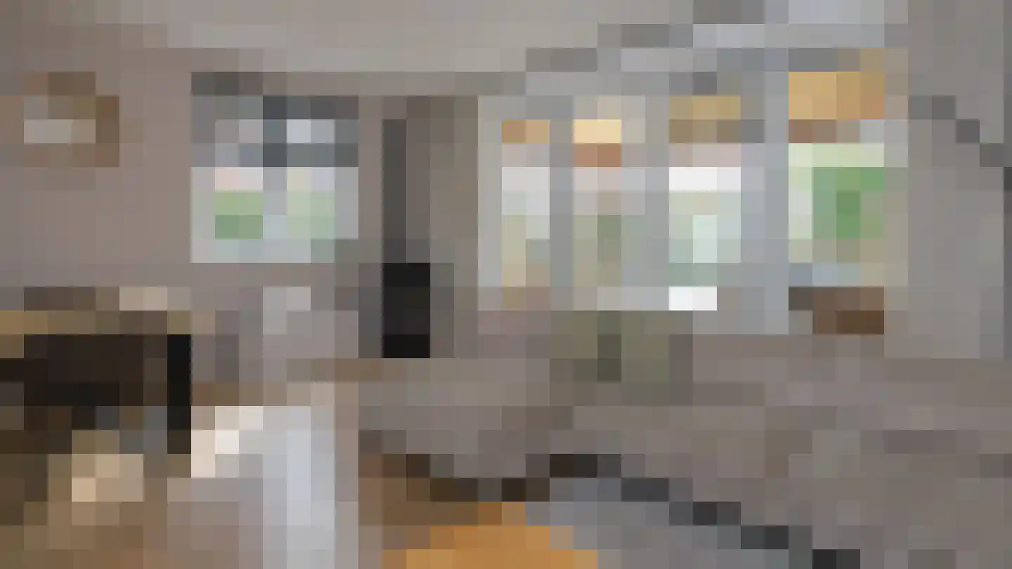 Tullekensmolenweg 90 B Lieren foto 3