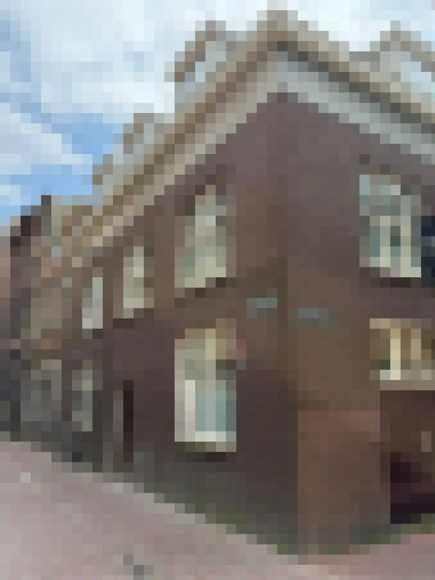 Tullekensteeg 30 3 in Arnhem