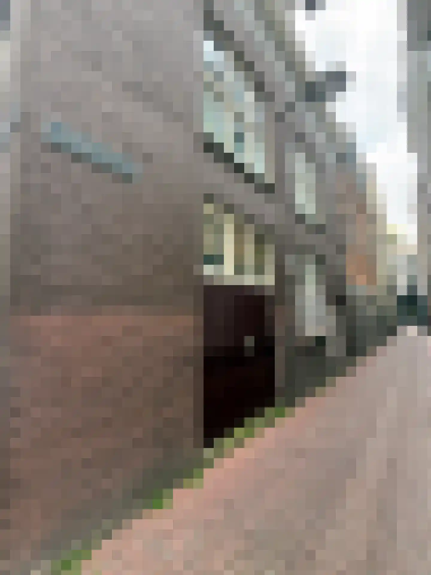Tullekensteeg 30 3 Arnhem thumbnail 15