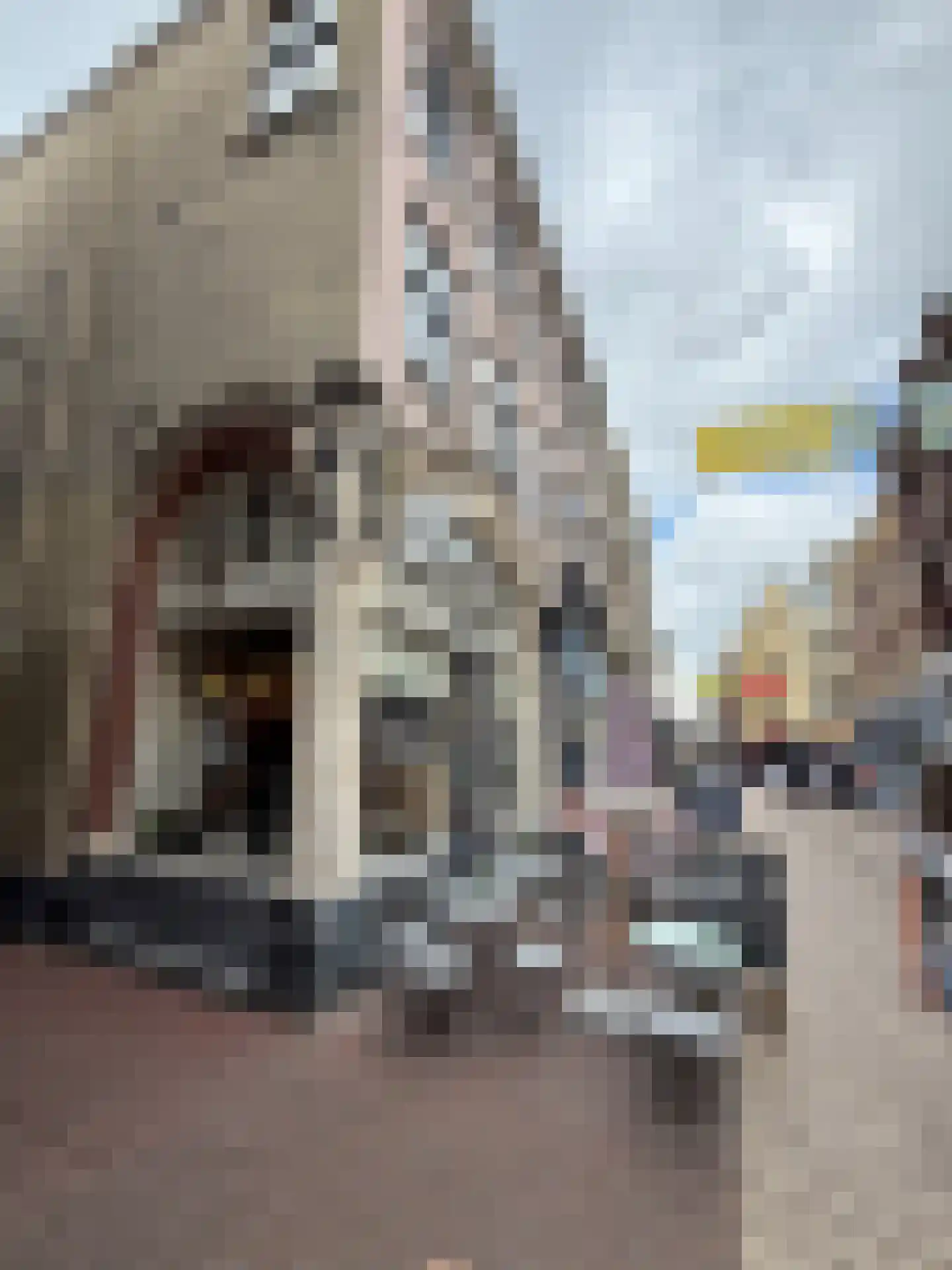 Tullekensteeg 30 3 Arnhem thumbnail 16