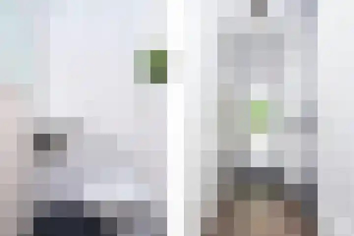 Tullekenweg 12 Eerbeek thumbnail 10