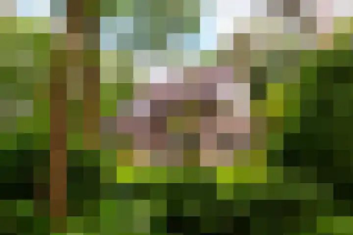 Tullekenweg 12 Eerbeek thumbnail 46