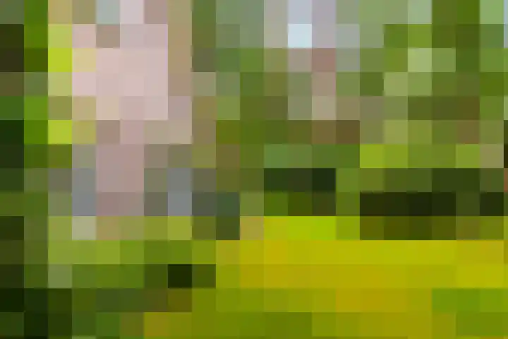 Tullekenweg 12 Eerbeek thumbnail 51