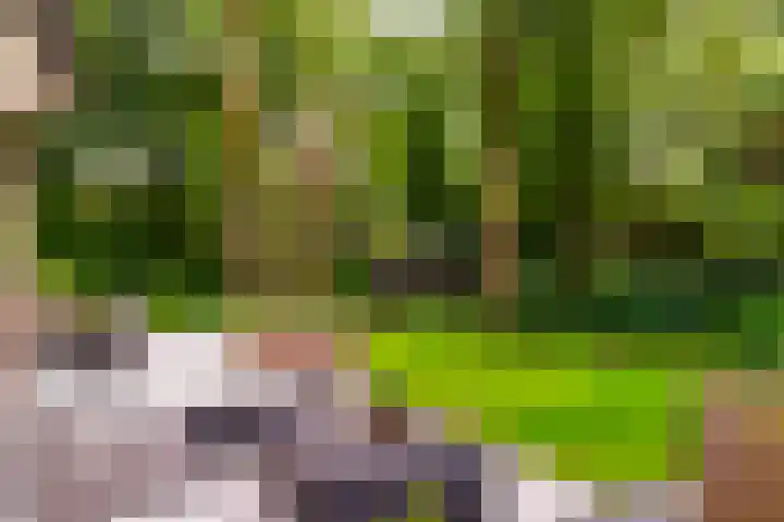 Tullekenweg 12 Eerbeek thumbnail 52