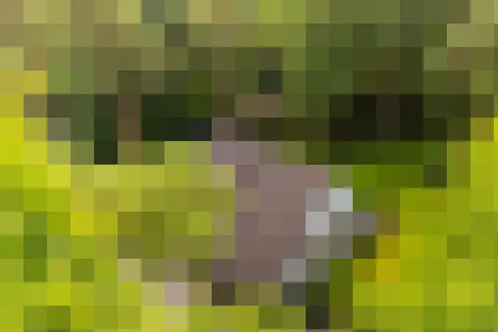 Tullekenweg 12 Eerbeek thumbnail 6