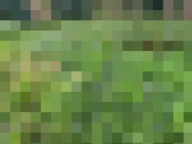 Tullekenweg 12 Eerbeek thumbnail 60